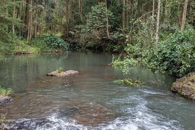 Trip from Nairobi to Muranga with Waterfall Hike and Picnic - Who Will Love This Tour?