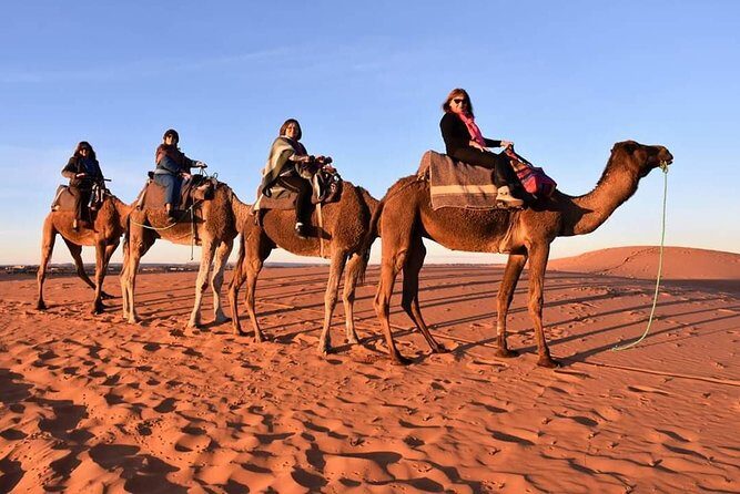 Trip To Sahara Days 3 / 2 Nights From Fez To Marrakech ( Luxury ) - Who Will Enjoy This Tour?