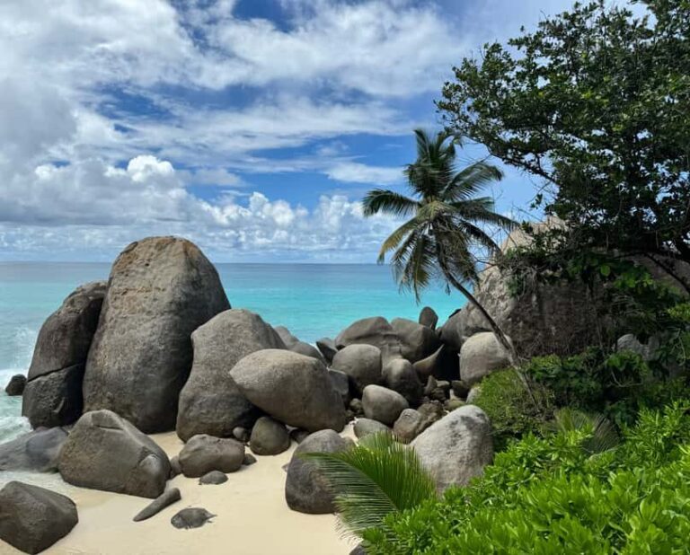 Tropical Beach Adventure Tour - Final Thoughts: Is It Worth It?