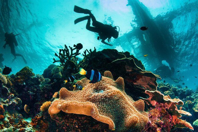 Try and Discover scuba diving - Key Points