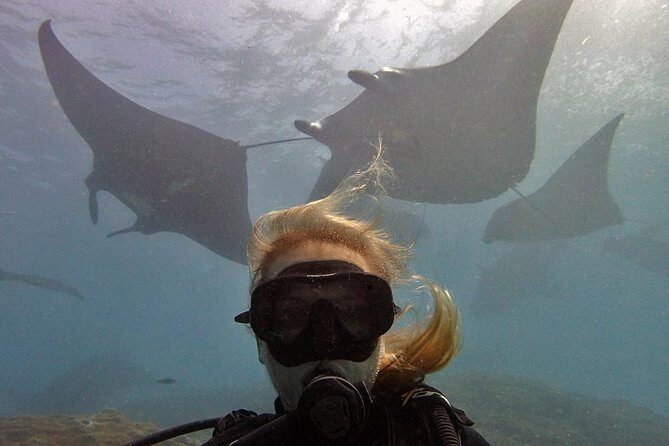 Try Dive with Manta Rays in Bali - An In-Depth Look at the Experience