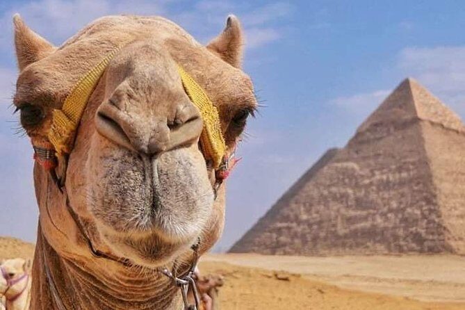 Try Our Journey Around The Pyramids by Camel Or Horse Ride - Why This Tour Offers Great Value