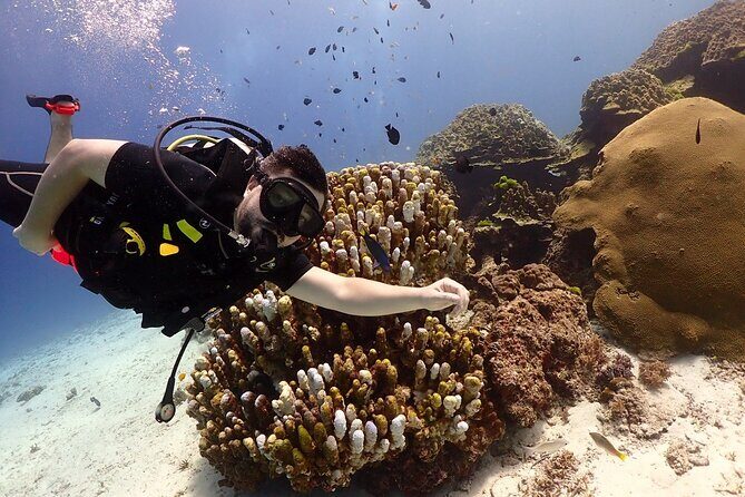 Try Scuba Diving in Racha Yai and Noi for Non-Certified - What to Expect: A Detailed Breakdown