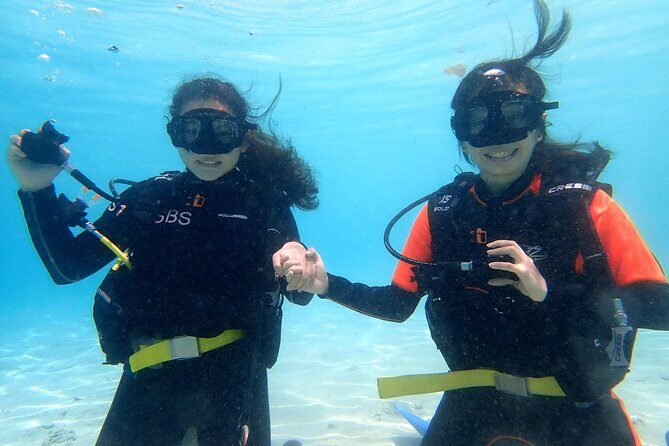 TRY SCUBA (non diver) - Pricing and Value Analysis