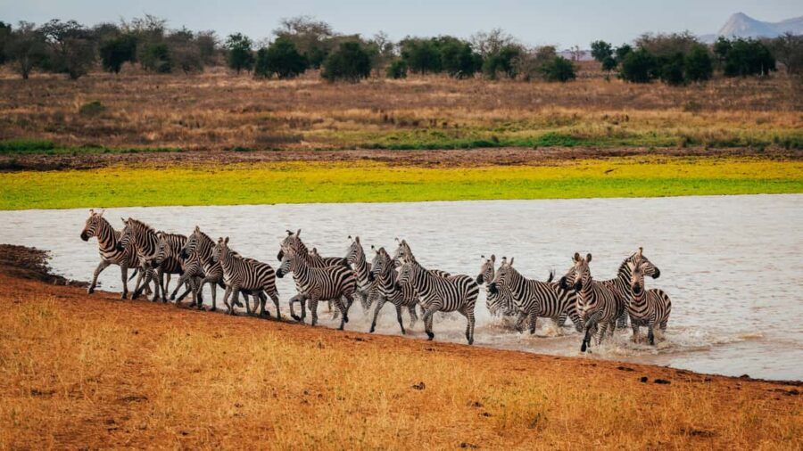 Tsavo East: 2 days of safari + visit to an orphanage - Accommodation and Comfort