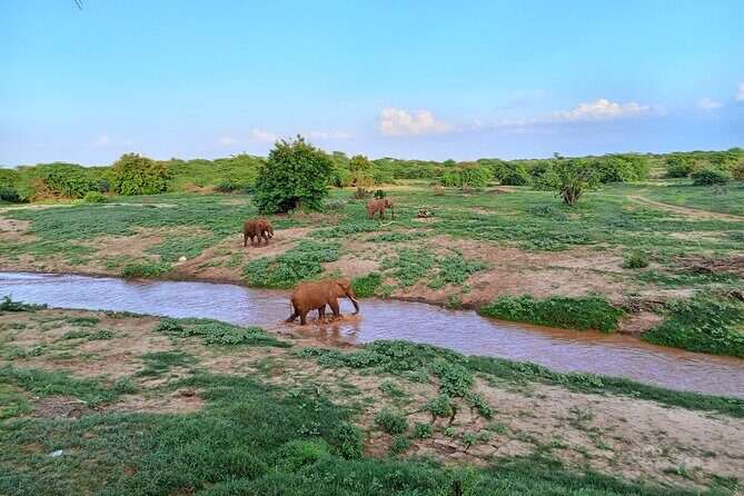 Tsavo East and Ngutuni Sanctuary Safari 3 days from Mombasa - Transportation, Accommodation, and Overall Value