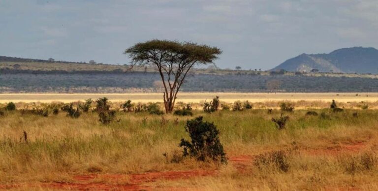 Tsavo East Day Tour From Mombasa/Diani - The Itinerary Breakdown