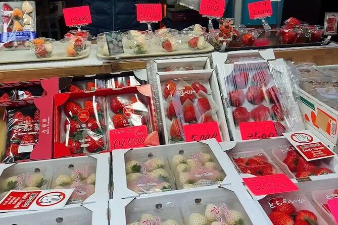 Tsukiji Food Strolling and Hama Rikyu Garden Walking Tour - Why This Tour Works for Travelers