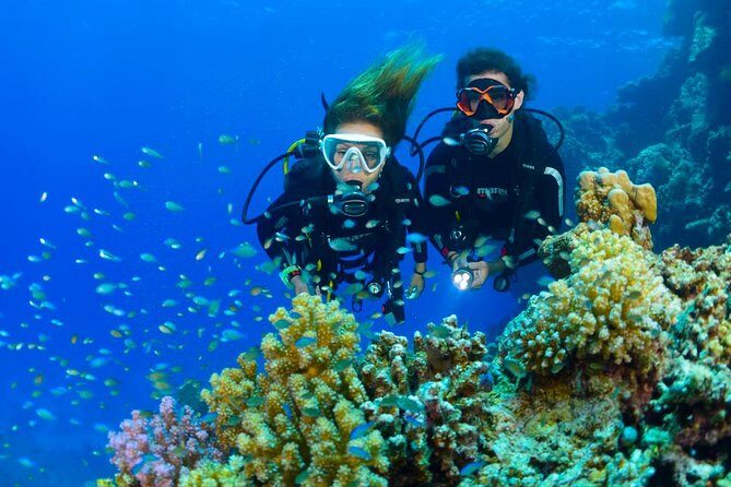 Tulamben Diving Tour Shipwreck USS Bali - Summary: Who Should Consider This Tour?
