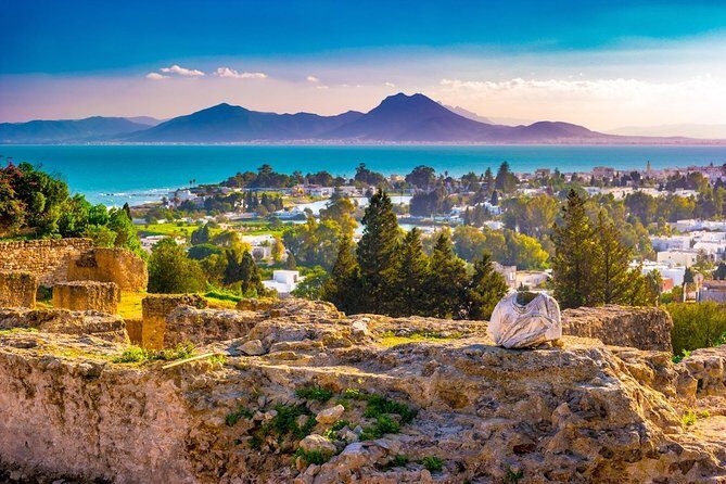 Tunis: Carthage, Bardo Museum, Sidi Bou Said & Medina Group Tour - Logistics and Practical Details