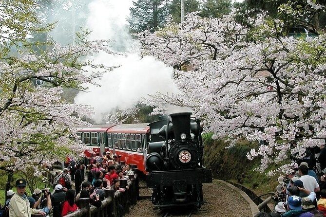 Two-day Sun Moon Lake & Alishan Forest Park Tour Package - Logistics and Practicalities