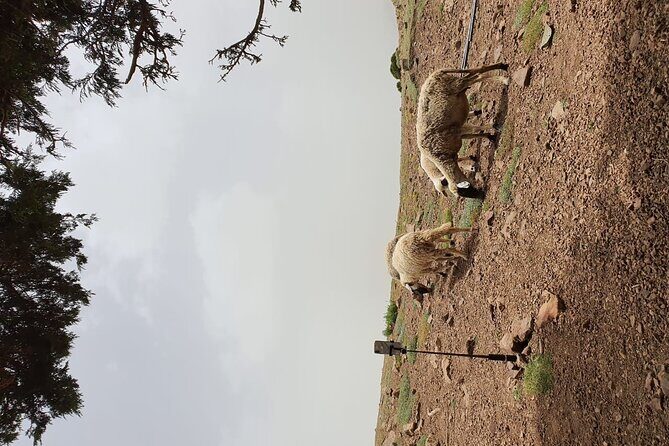 two days valley trek in the Atlas mountains - Who Should Consider This Tour?