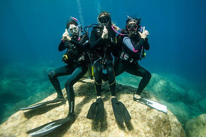 Two dives For Professional Divers Full Day Trip Wreck SCUBA equipment - Hurghada - From Review Snippets: Authentic Insights