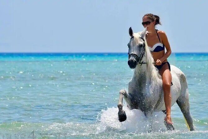 Two hours adventure Horse Riding with Transfer From Hurghada - The Sum Up