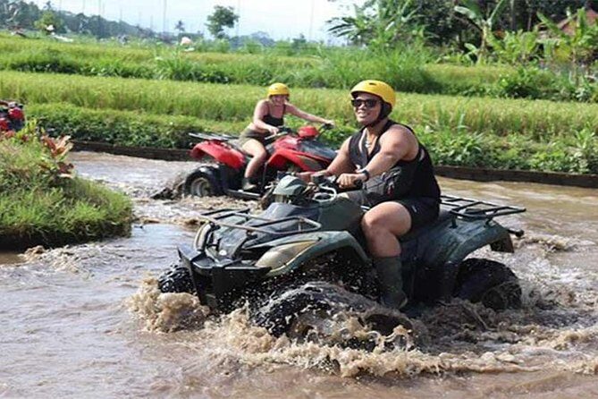Ubud ATV Quad Bike, Monkey Forest and Rice Terrace - Who Is This Tour Best For?