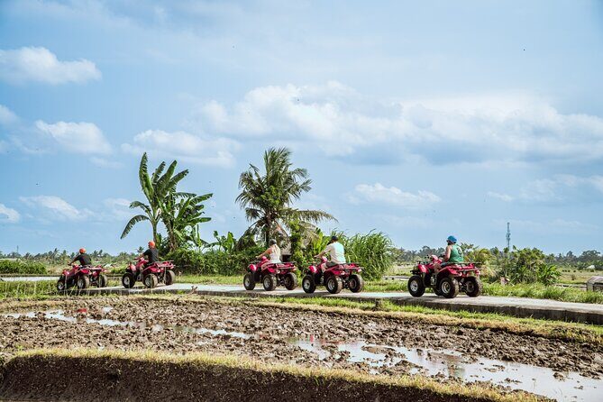 Ubud ATV Quad Bike with Infinity Pool Access All Inclusive - Who Will Love This Tour?