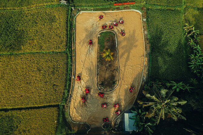 Ubud ATV Ride through River Jungle Rice Fields Puddles - What to Expect from the ATV Ride
