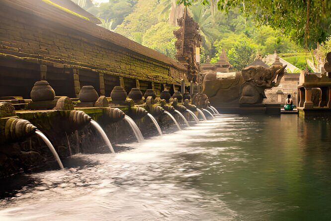 Ubud Bali: Rice Terrace, Waterfall and Tirta empul Day Tour - What’s Included and What’s Not