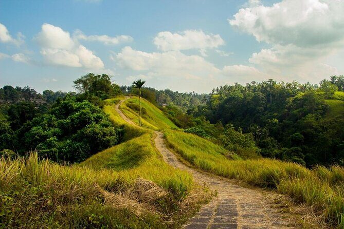 Ubud Countryside Tour: Campuhan Ridge Walk and Rice Terrace - A Detailed Breakdown of the Itinerary