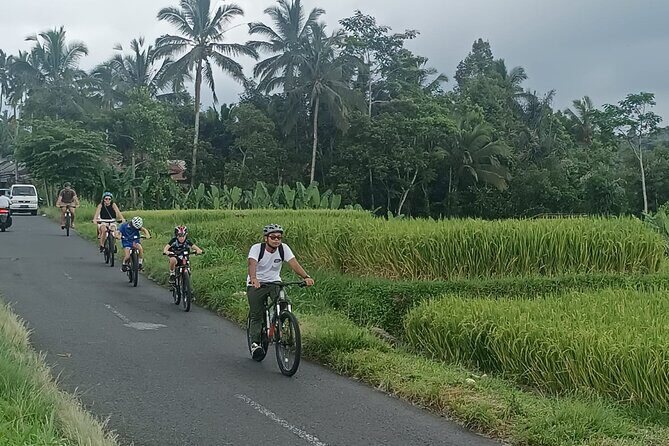 Ubud Cultural and Educational Downhill Cycling Tour - The Experience for Different Types of Travelers