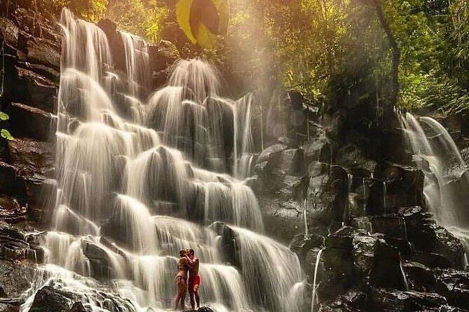 Ubud Customized Full Day Tour - Visit Most favorite In Ubud - What You Can Expect in Terms of Value