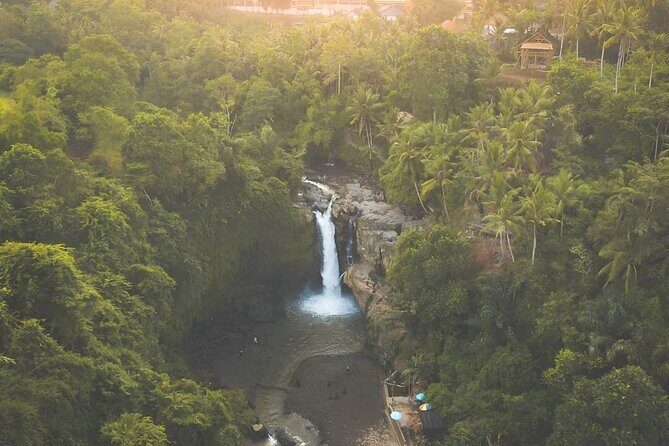 Ubud Day Tour: Sacred Monkey Forest, Tegenungan Waterfall, Rice Terrace - In-Depth Look at the Itinerary