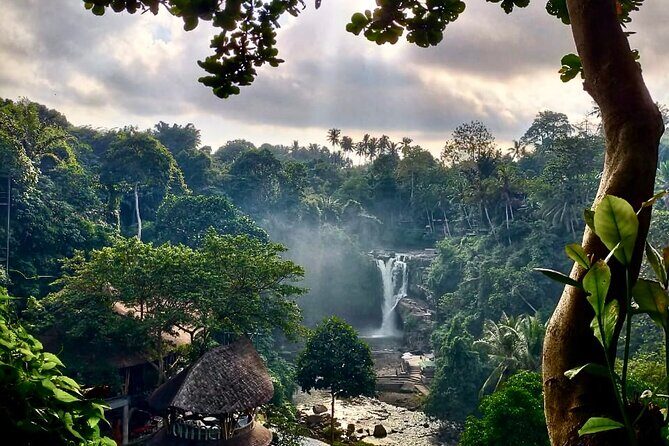 Ubud Day Tour with Private Car & Local Driver - Analyzing the Value