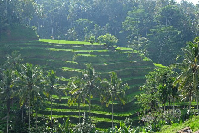 Ubud Experience ; Swing, Waterfalls, Art Market, Rice Terrace - Swinging into Adventure at Kumulilir