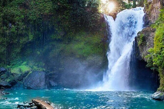 Ubud Full Day Tour Waterfall Monkey Forest Rice Terrace - Who Should Consider This Tour?