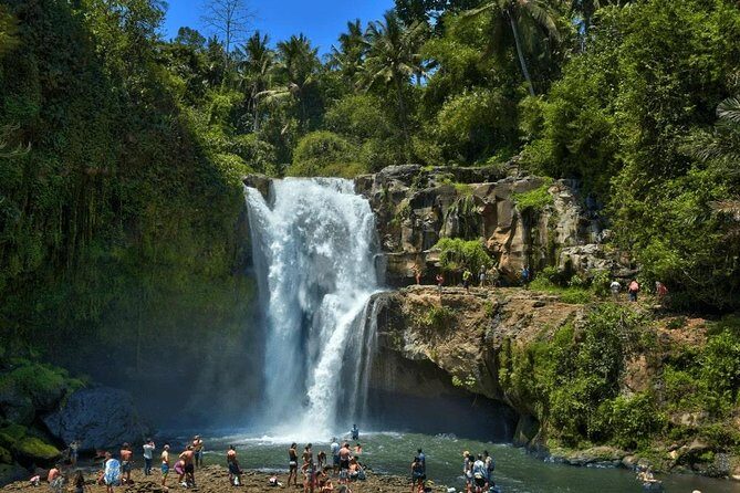 Ubud Instagram: Waterfall Tours - What to Expect from the Experience
