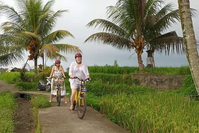 Ubud : Kintamani Downhill Cycling Tour with Lunch - The Cycling Experience: Thrilling, Peaceful, and Educational