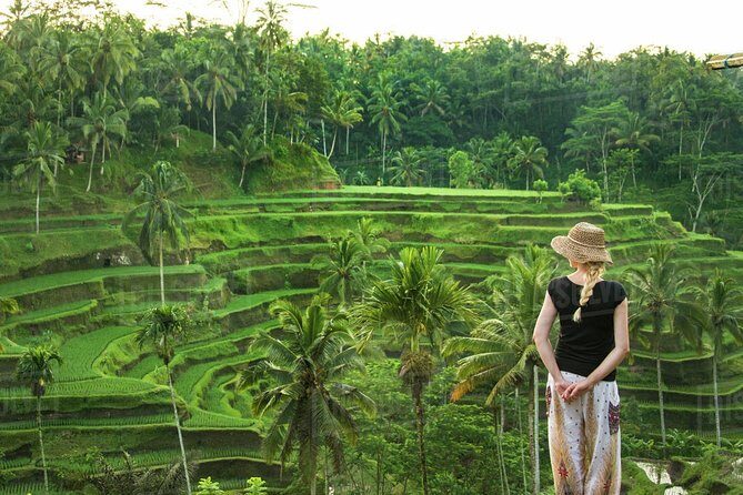 Ubud: Monkey Forest, Jungle Swing, Rice Terrace, and Water Temple - The Sum Up: Is This Tour Right for You?
