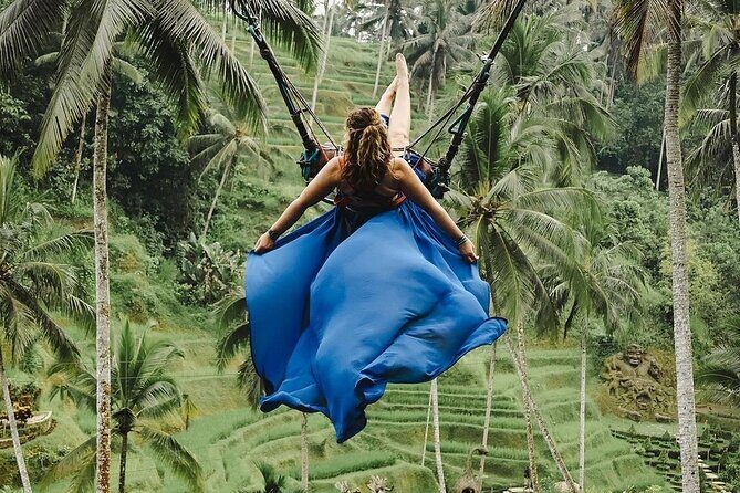 Ubud Monkey Forest, Scenic Rice Terrace with Swing and Waterfall - The Itinerary in Detail