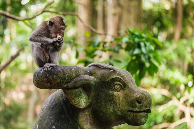 Ubud: Monkey Forest, Waterfall and Nature Exploration Tour - Scenic Adventures and Cultural Delights