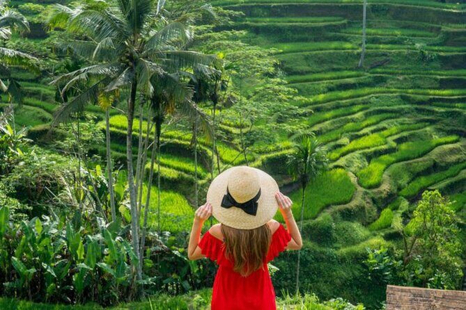 Ubud: Private Customized Highlights Tour - What the Reviews Say