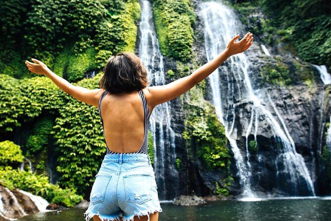 Ubud Private Tour: Waterfalls, Temple and Rice Terraces Swing - Transportation and Comfort