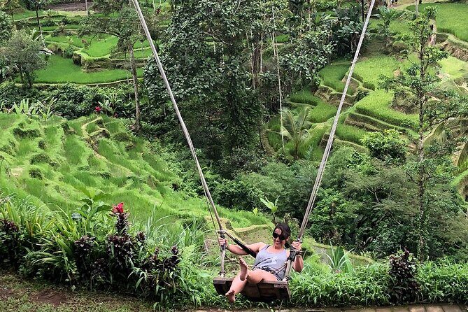 Ubud Rice Terrace Swing Waterfall Private Guided Tour - The Highlights and Itinerary Breakdown