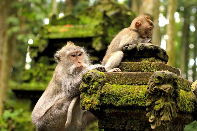 Ubud Sacred Monkey Forest & Art Village Tour - Practical Details and What to Expect