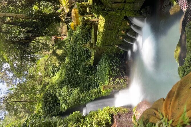 Ubud Shamanic Healing and Purification Ceremony - Practical Details: Logistics and Value