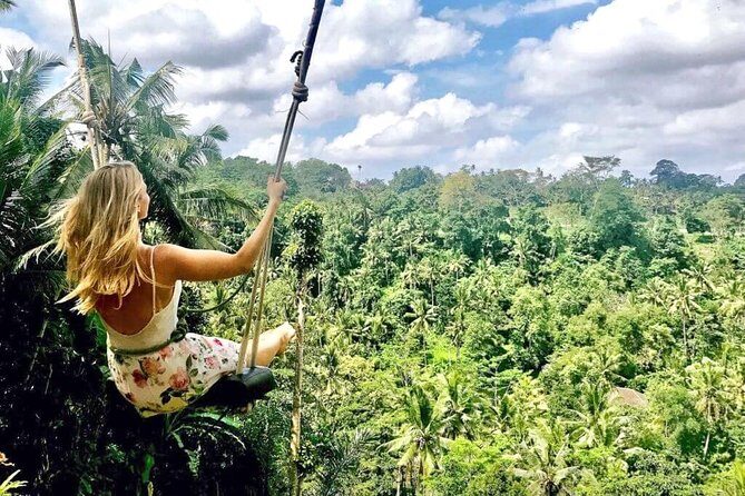 Ubud Sightseeing, Holy Water Temple & Waterfall - Why This Tour Works for You