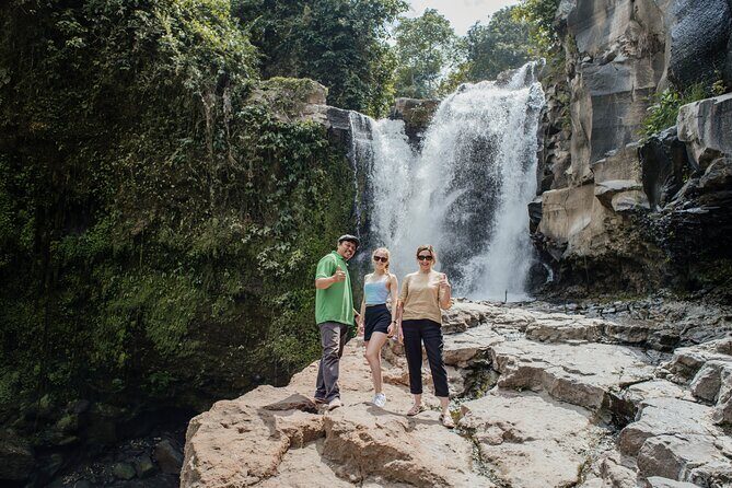 Ubud Small Group Tour: Monkey Forest, Tegalalang Rice Terraces and more - What Travelers Say