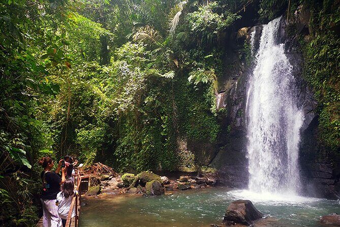 UBUD Spring Temple, Waterfall, Rice Terraces Private Tour - FAQs
