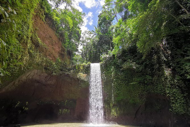 Ubud Village, Tegalalang Rice Terrace Swing, Tirta Empul Temple and Waterfafall - Practical Aspects of the Tour