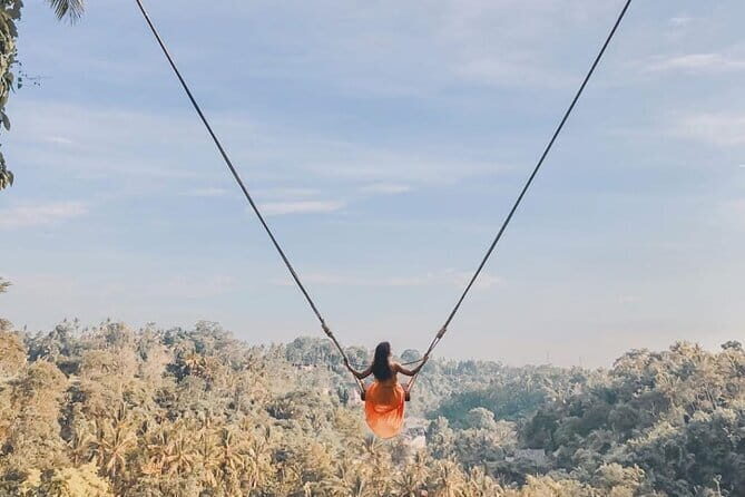 Ubud Waterfalls, Rice Terrace and Jungle Swing Tour - Detailed Breakdown of the Stops