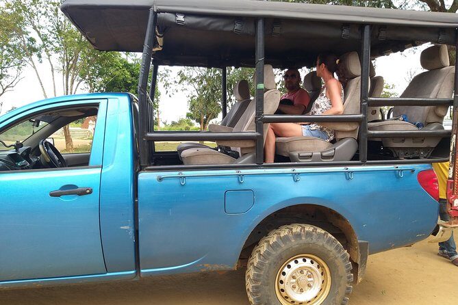 Udawalawa National Park half day Safari - The Itinerary Breakdown: What to Expect