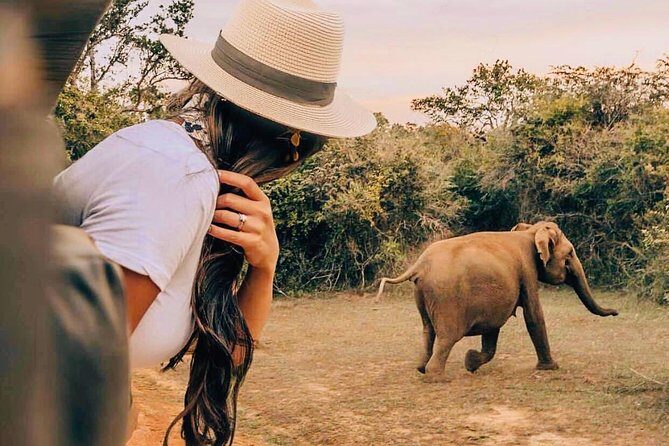 Udawalawe National Park Safari with Private Driver-Jeep and Enter ticket - Who Is This Safari Best For?
