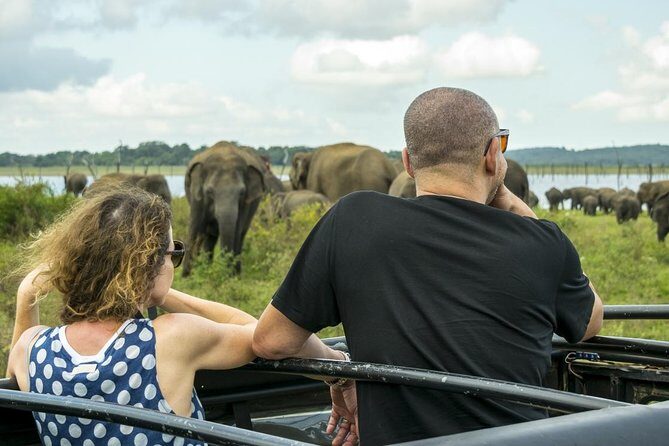 Udawalawe Safari Day Trip from South Region & Transfer to Ella - Analyzing the Value