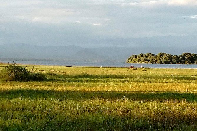 Udawalawe Safari - Private & Customize Tour - In-Depth Look at the Itinerary