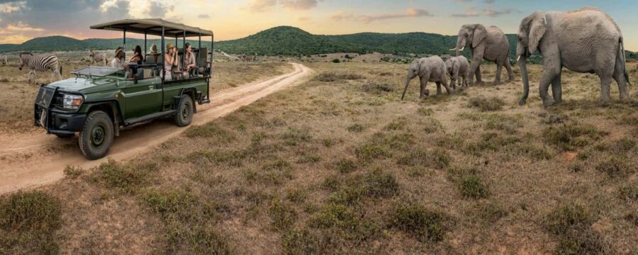 Uganda: 10-Day Safari from Entebbe to Murchison Falls