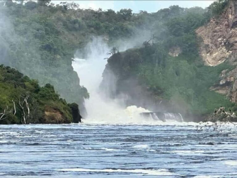 Uganda: 2-Day Murchison Falls National Park Safari and Big 5 - What’s Included and What’s Not